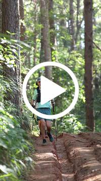 BIB:  <button type="button" onclick="openModal(26569580)" class="btn btn-primary btn-sm float-right" data-toggle="modal" data-target=".modal-high-quality">
                <i class="fa fa-download"></i> Download
                </button>